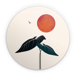 Folien für weitere Geräte matt