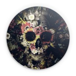 Folien für weitere Geräte matt