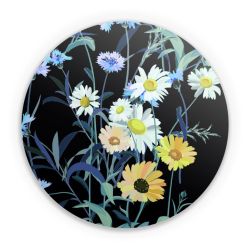 Folien für weitere Geräte matt