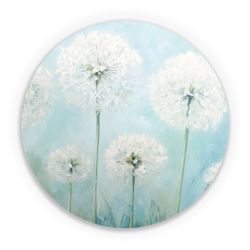 Folien für weitere Geräte matt