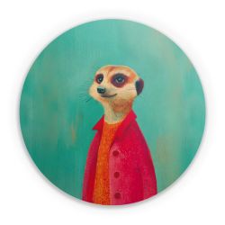 Folien für weitere Geräte matt