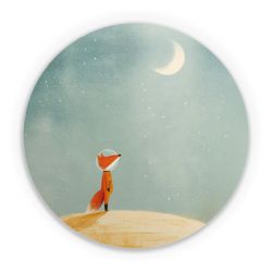 Folien für weitere Geräte matt