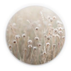 Folien für weitere Geräte matt