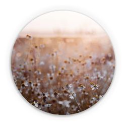 Folien für weitere Geräte matt