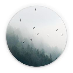 Folien für weitere Geräte matt