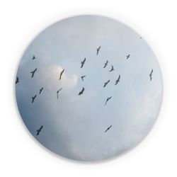 Folien für weitere Geräte matt