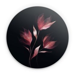 Folien für weitere Geräte matt