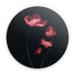 Folien für weitere Geräte matt