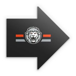 Sticker Pfeil Einzelsticker