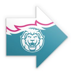 Sticker Pfeil Einzelsticker