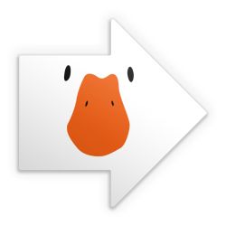 Sticker Pfeil Einzelsticker