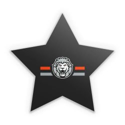 Sticker Stern Einzelsticker