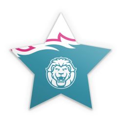 Sticker Stern Einzelsticker