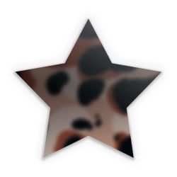 Sticker star