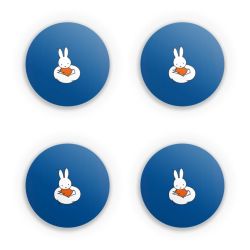 Folien für weitere Geräte matt