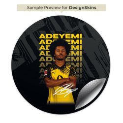 Foils for Smart Home matt