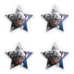 Sticker Set star