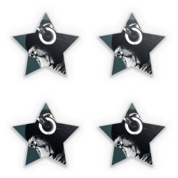 Sticker Set star