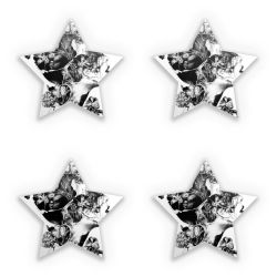 Sticker Set star