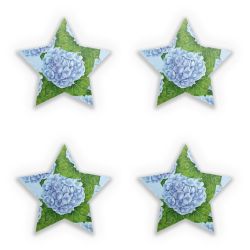 Sticker Set star