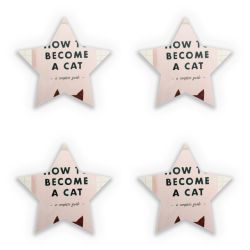 Sticker Set star