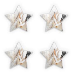 Sticker Set star