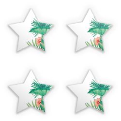 Sticker Set star