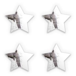 Sticker Set star