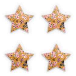 Sticker Set star