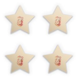 Sticker Set star