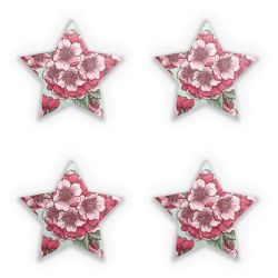 Sticker Set star