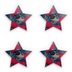 Sticker Set star