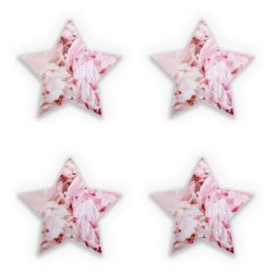 Sticker Set star