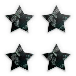 Sticker Set star