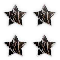 Sticker Set star