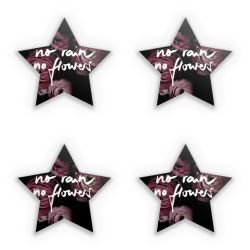 Sticker Set star