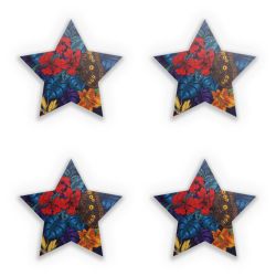 Sticker Set star