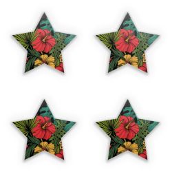 Sticker Set star