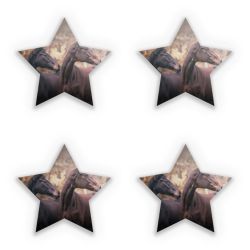 Sticker Set star