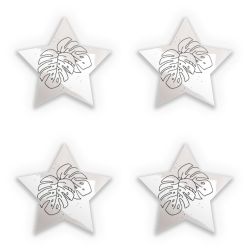 Sticker Set star