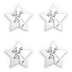 Sticker Set star