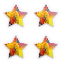 Sticker Set star