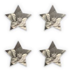 Sticker Set star