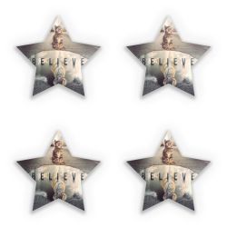 Sticker Set star