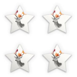 Sticker Set star