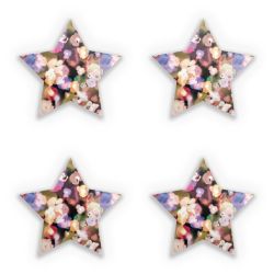 Sticker Set star