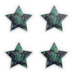 Sticker Set star