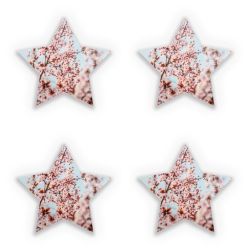 Sticker Set star