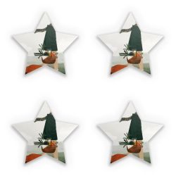 Sticker Set star