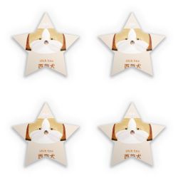 Sticker Set star
